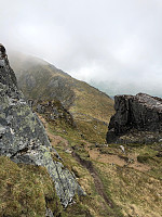 Gråbein_20210609_60c0d9aa3d195.jpg