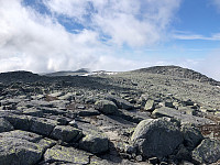 Gråbein_20210628_60d99d6288dbc.jpg