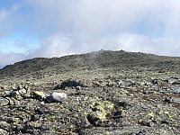 Gråbein_20210628_60d99d63332ff.jpg