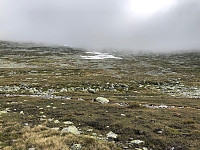 Gråbein_20210628_60d99d63dd88f.jpg