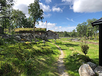 Gråbein_20210628_60d99d648bf67.jpg