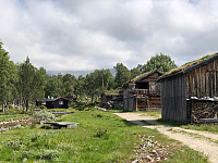 Gråbein_20210628_60d99d65ef9ba.jpg