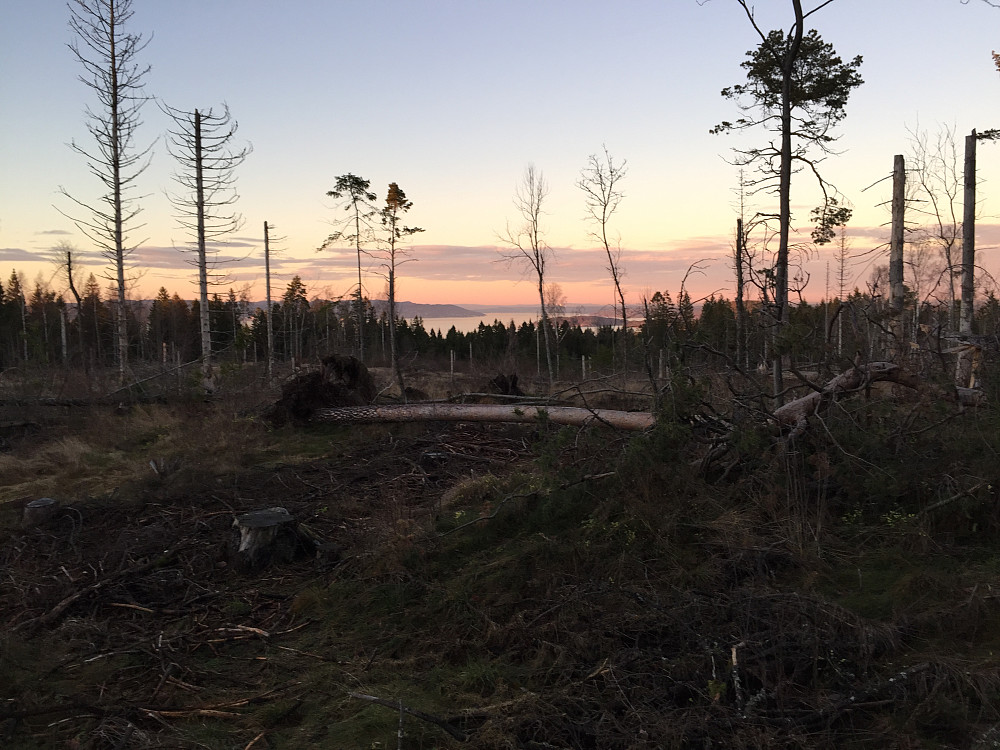 Utsikt nordover, rett vest for toppen