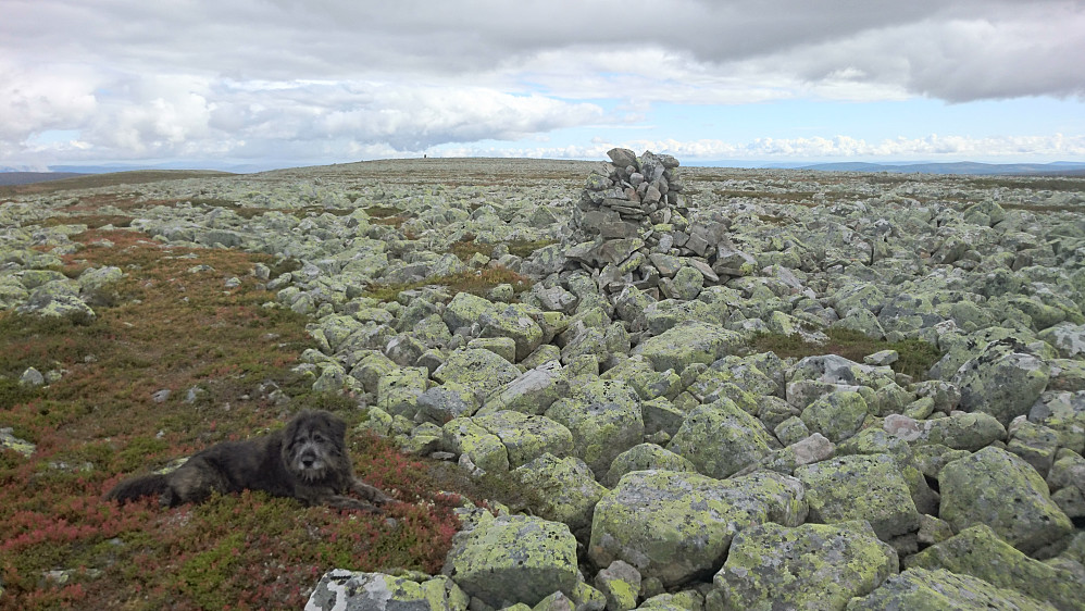 Utsikt sørøstover fra Storbekkfjellet.