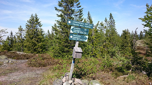 Skibergfjellet