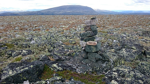 Langvasshøe