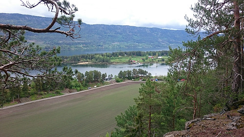 Herøya i Steinsfjorden
