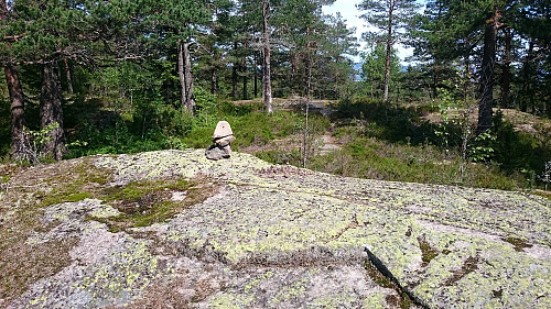 Trolig det høyeste punktet på søndre Kolsås.
