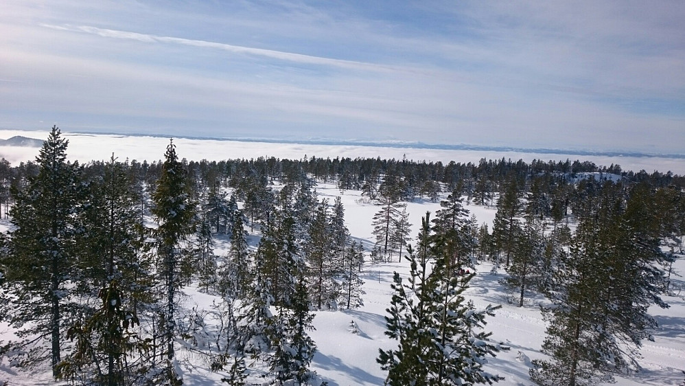 Utsikt fra Hovlandsvarden.