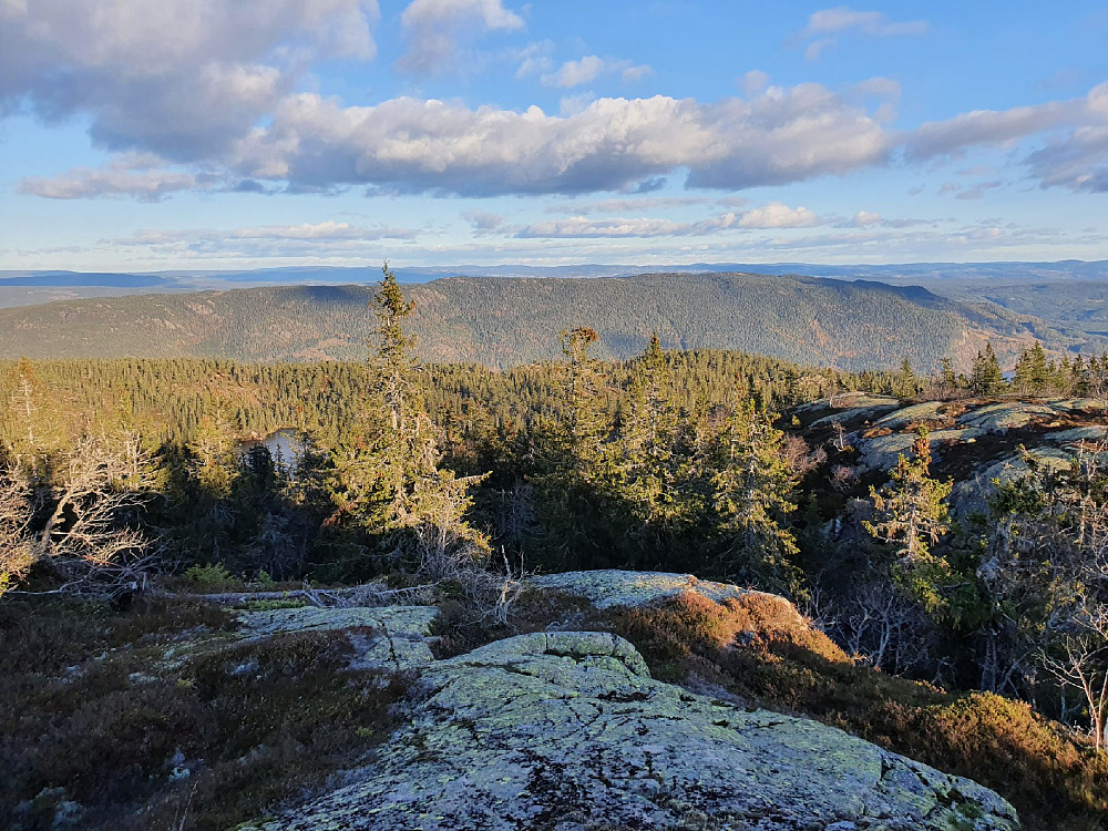 Utsikt fra Veslefjell over Ådalen mot Fjøvikfjellet.