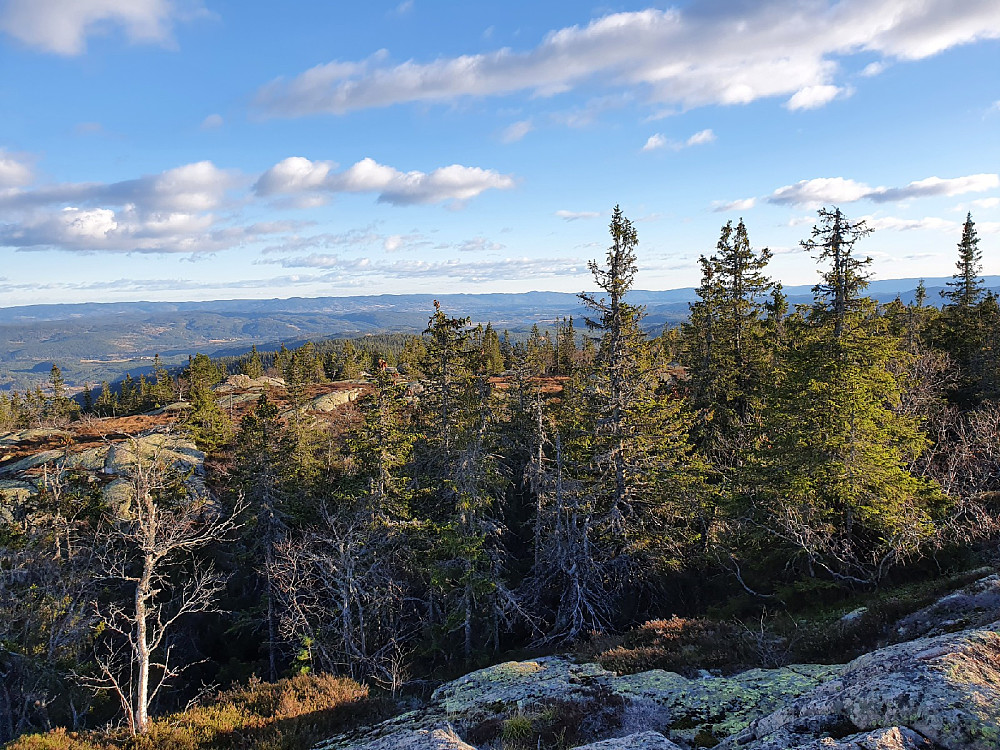 Utsikt sørøstover ned Ådalen.