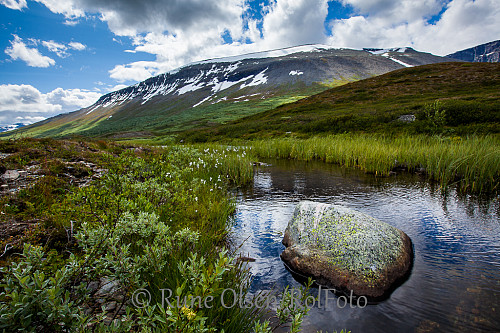 Sommer i Smådalen. Ranastongimassivet i bakgrunn.