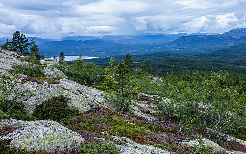Utsikt mot NV. Blefjell til høyre og Follsjå til venstre.