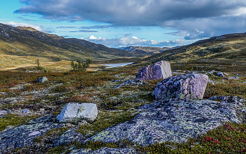 Rosa steiner ved campen med Grotvassdalen i bakgrunn.
Mot sør.