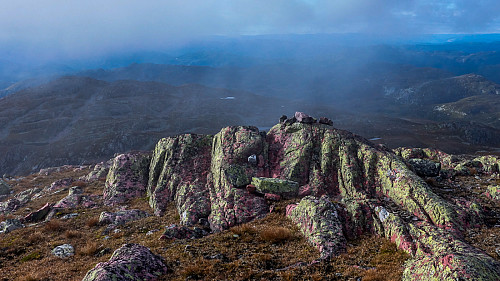 Rosa stein med irrgrønt lav ved toppen av Brattefjell
