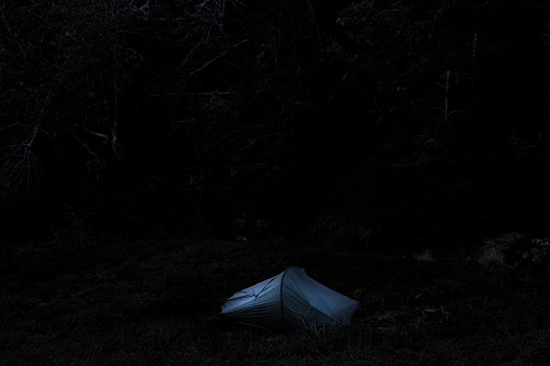 Et telt i mørket...