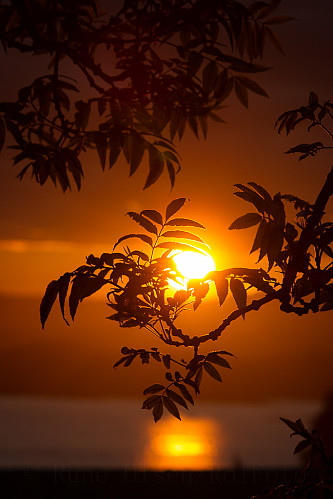 Solnedgang sett fra Hasselgården