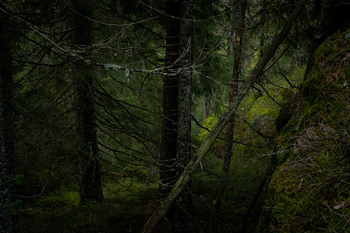 Mange flotte partier på Puttekollen