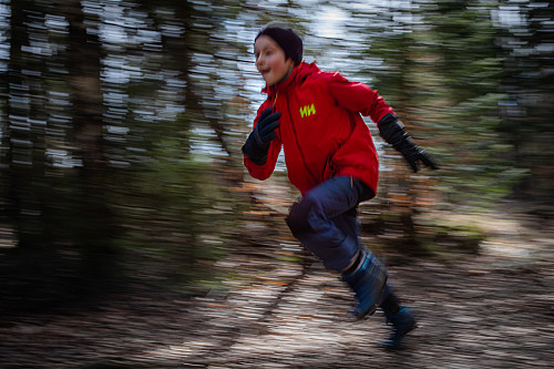 I full sprint. 
(Ikke perfekt panorert...det krever utallige forsøk...kun ett forsøk idag og dette ble resultatet)