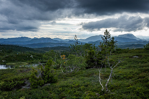 Utsikt mot Brattefjell. Telt nede i venstre kant av bildet.