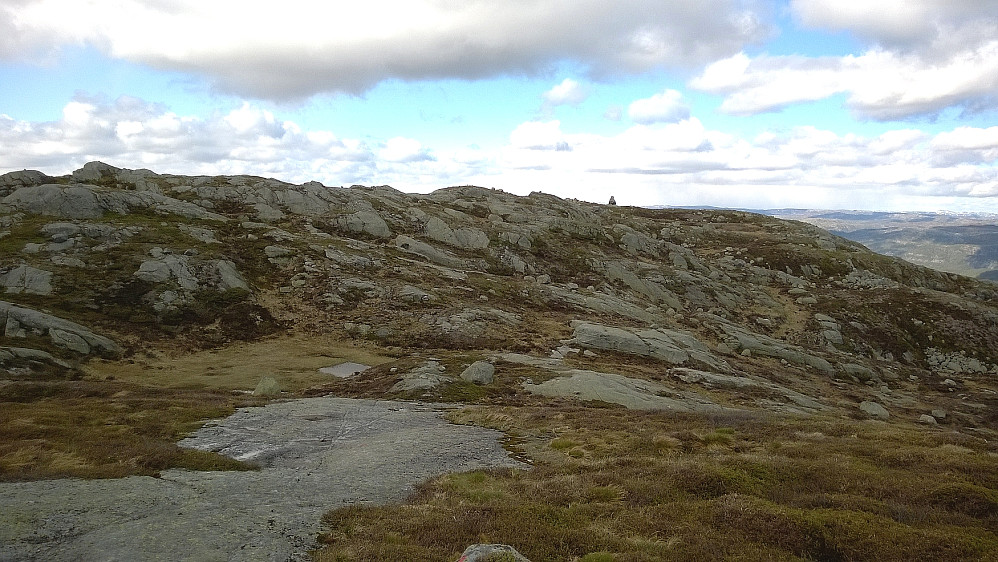 Den rødmerka stien leder ikke til høyeste punkt, men til en diger stein (noe til høyre i dette bildet), hvor det også er kasse med toppbok. Dog er det bare 70-80 m mot vest til høyeste knausen - her i senter.