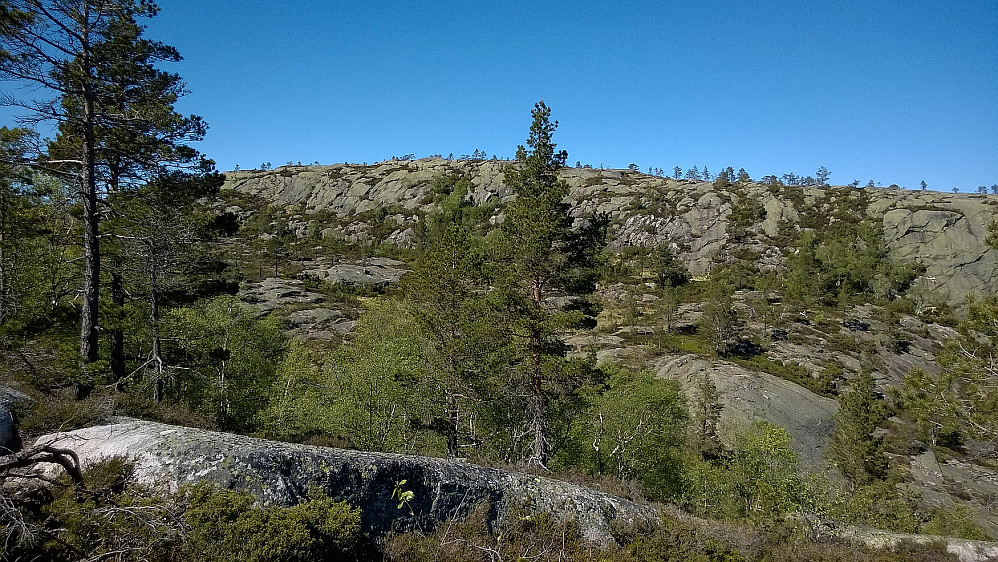 Ørnemyrfjell sett fra SØ.