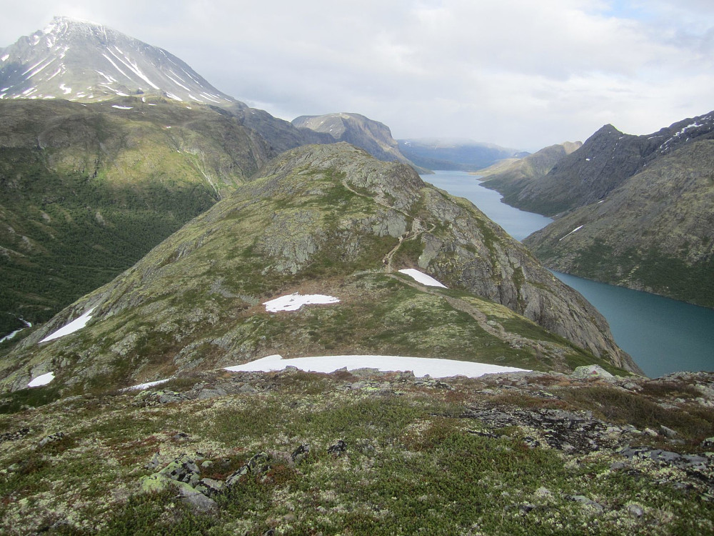 Østre Sjugurdtind sett fra vest. I skaret går det an å ta seg ned til venstre i Memurudalen, fant jeg ut.