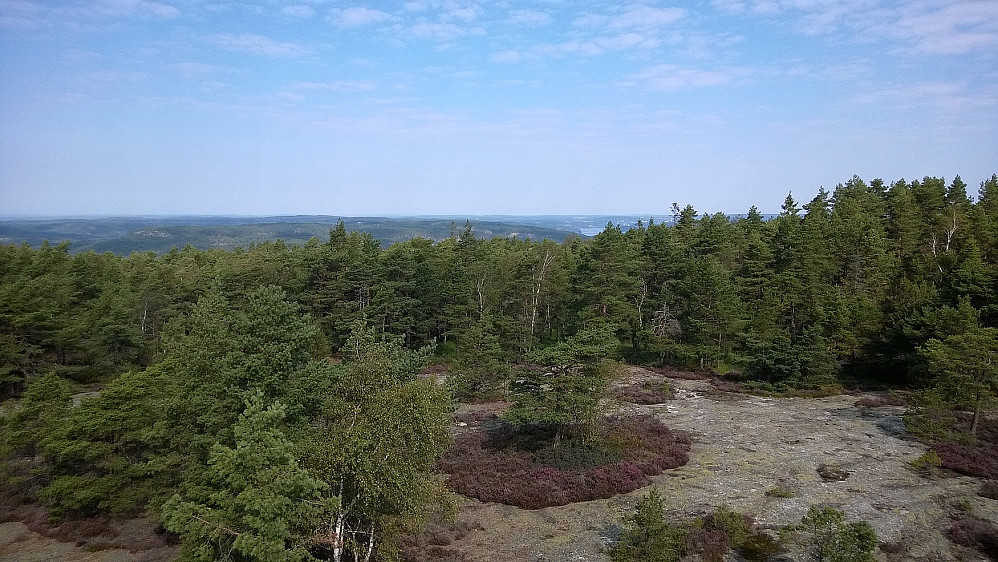 Utsikt fra tårnet - i retning Halden.
