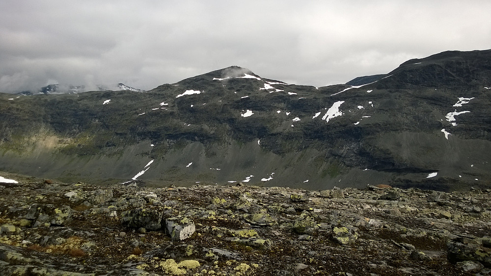 Begynte vel å ane at Uranosi ikke kom til å bli besøkt i dag pga migrenen, men også fordi været ikke slo til som forventet.