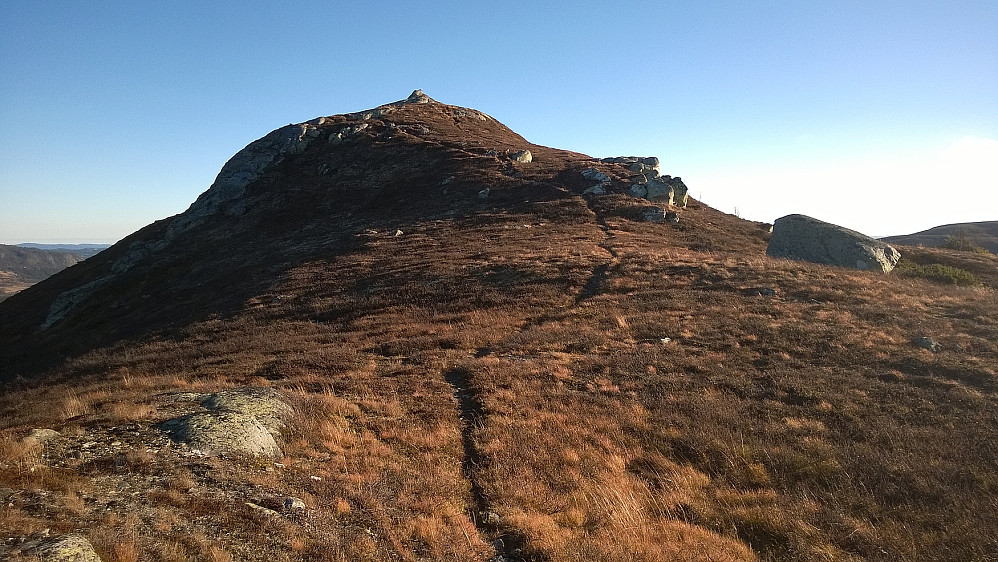 Store Syningen øst - nærmere en "alpin profil" kommer man neppe i Sør-Aurdal.