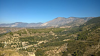 Olepetter_20151125_56557a6e585c6.jpg