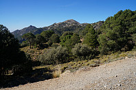 Mot Cerro Gordo.