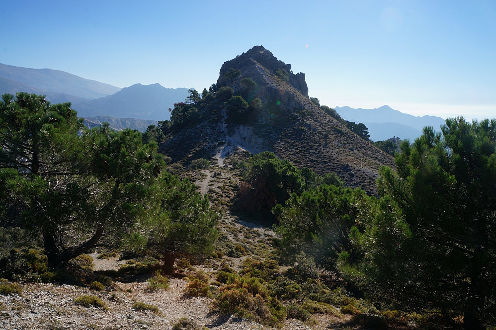 Pico del la Carne var en artig sukkertopp.