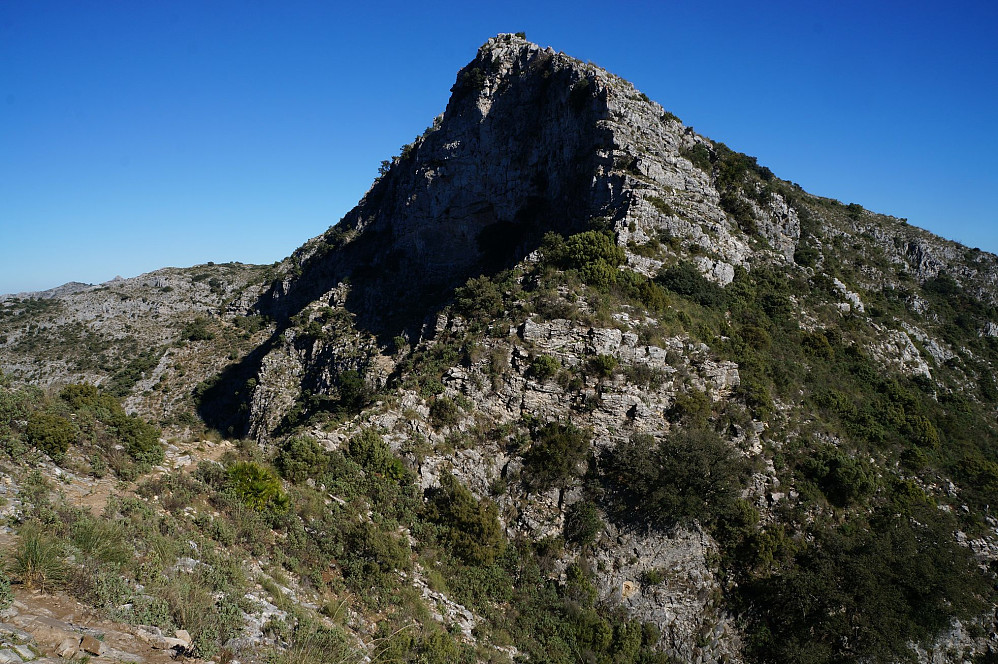SV-egga på Salto del Lobo. Stien omgår toppen i nord, på skyggesiden til venstre. Rett opp egga blir det klatring, men med litt sikksakk slipper en unna med klyveklatring a grad 2-.