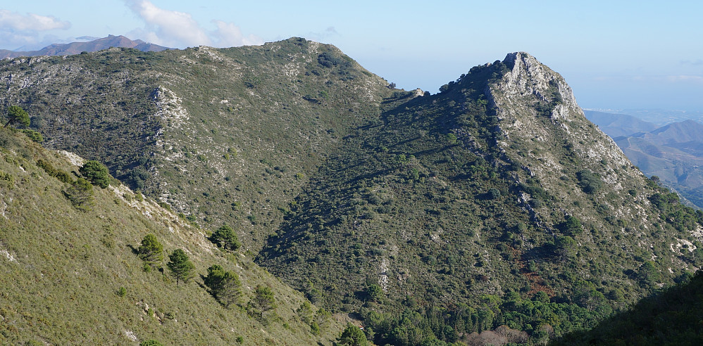 Cerro Nicolas; begge toppene sett fra vest. (Tatt på dagens tredje tur.)