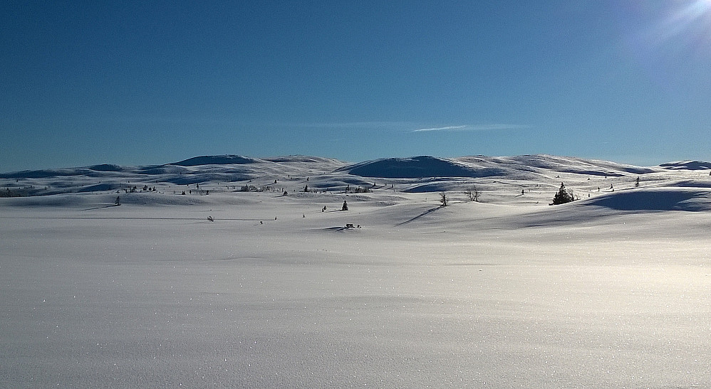 Bjødalsfjellet sett fra skiløypa nær Søre Fjellstølen en vakker vinterdag.