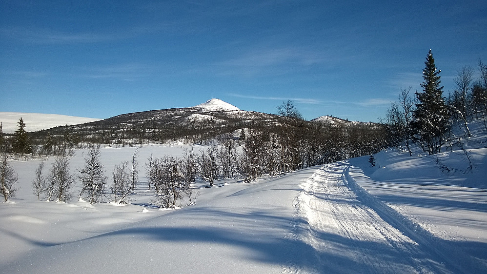 Hugakollen fra scootersporet ved Tverrbrumyre, hvor jeg vurderte å skjene ut til venstre og rett mot toppen.