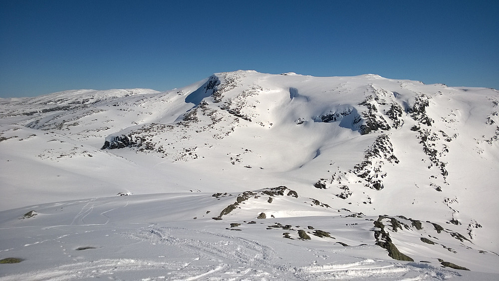 På "Vest for Holebottsskaret" - må ned i H.b.skaret, så opp ryggen noe til venstre i bildet, og så 2 km flatt inn til toppen av Blåfjellet.
