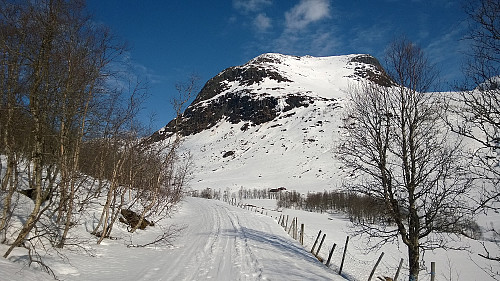 Skispor rett øst for gården følger sommerveien inn Fresvikjordalen. Vardafjellet sentralt i bildet.