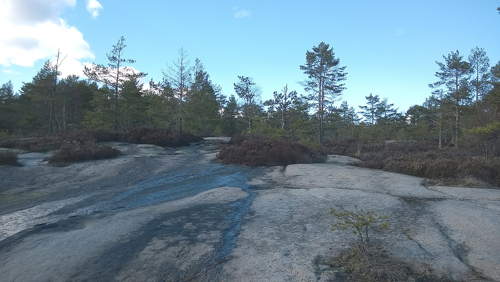Lettgått terreng mot toppen.