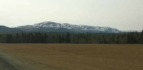 Hårskallen sett fra veien i nord.