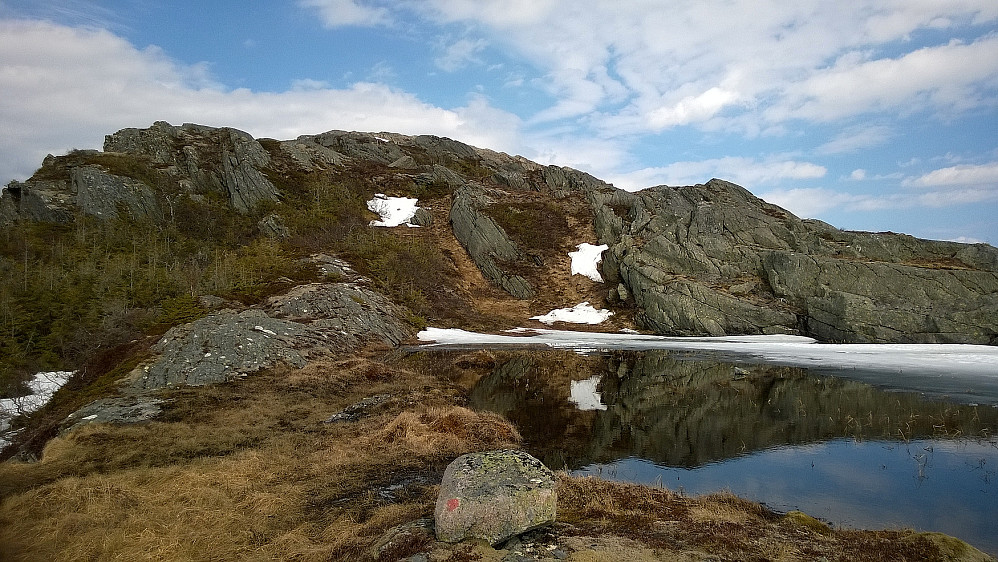 Mens stien holder til høyre (sør) for fjellet (hvor det lå masse råtten snø utenfor bildet), går en gammel merket sti opp ryggen - mitt klare valg i dag.