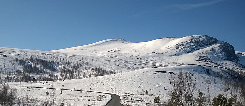 Start ved Raudbergstulen på 1000m.