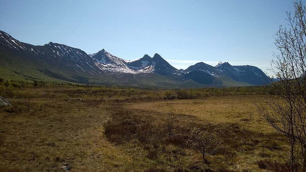 Skrivartinden fra vest (noe til venstre midt i bildet.) Flere andre fine topper i dette området også...