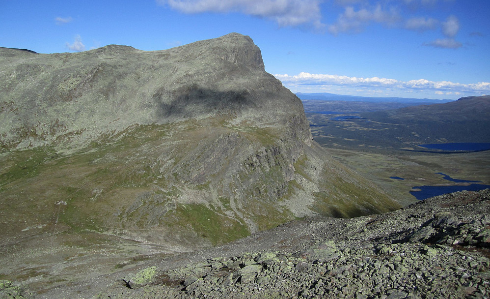 Siste bilde på turen; et av de bedre bildene forresten; Grindane i flott profil! Her ser en ruta opp i flanken (i senter av bildet.)