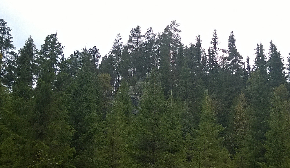 Ny vinkel på Skåleberget, som er en meget bratt knatt fra øst.