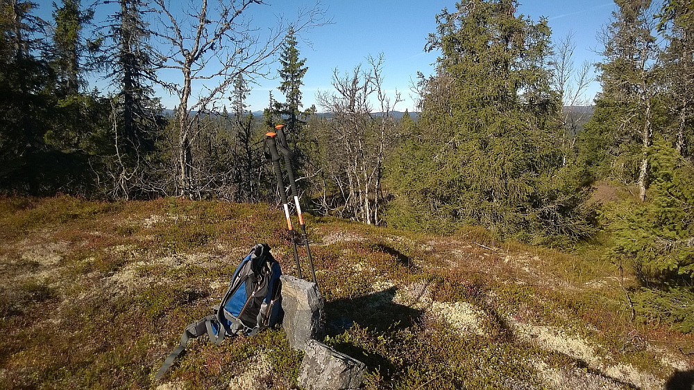 Ørlite utsikt mot Rundemellen mellom trærne, fra Røyskatthovde.