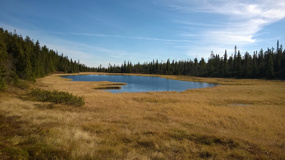 Nøt dette stedet - og været - en drøy halvtimes tid, mens bålet tørket opp den fuktige trøya. Fordelen med skogstopper kontra høyfjellet om seinhøsten er muligheten til å få litt varme i kroppen når man har pause.