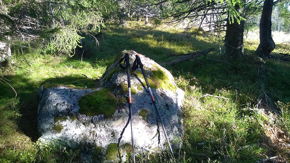 Denne steinen (32 V 562424 6752397) i skogen på toppen er en god kandidat til høyeste punkt, men det er flere maurtuer og granknoller som kan utfordre. PBE-et virket ikke helt riktig plassert.