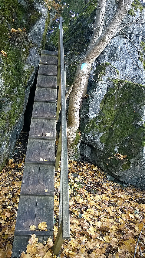 En (noe trang) trebro hører med til stien i Jesusbukta.